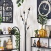 Lampadaire - Verre 15 cm Gastor Clair, 6 lumières