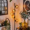 Lampadaire - Verre 15 cm Gastor Ambre, Clair, 5 lumières Lampadaire - Verre 15 cm Gastor Ambre, Clair, 5 lumières