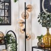 Lampadaire - Verre 15 cm Gastor Ambre, Clair, 5 lumières Lampadaire - Verre 15 cm Gastor Ambre, Clair, 5 lumières
