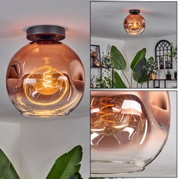 Plafonnier - Verre 25 cm Ripoll Clair, Cuivré, 1 lumière Plafonnier - Verre 25 cm Ripoll Clair, Cuivré, 1 lumière