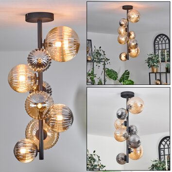 Plafonnier - Verre 10 cm, 12cm, 15cm Chehalis Ambre, Fumé, 8 lumières Plafonnier - Verre 10 cm, 12cm, 15cm Chehalis Ambre, Fumé, 8 lumières