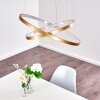 Suspension Canisteo LED Or, 2 lumières
