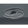 Plafonnier Trio Gale LED Noir, 1 lumière