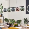 Suspension Belp Noir, 5 lumières