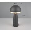 Lampe de table Reality FUNGO LED Anthracite, 1 lumière