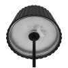 Lampe de table Reality SUAREZ LED Noir, 1 lumière