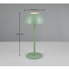 Lampe de table Reality RICARDO LED Vert, 1 lumière