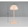 Lampe de table Reality RICARDO LED Beige, 1 lumière