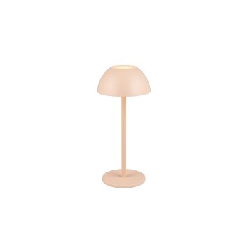 Lampe de table Reality RICARDO LED Beige, 1 lumière