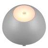 Lampe de table Reality RICARDO LED Gris, 1 lumière