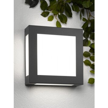 Applique murale CMD Aqua Legendo Anthracite, 1 lumière