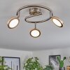 Sarnadinha Plafonnier LED Nickel mat, 3 lumières