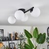 Chehalis Plafonnier Blanc, 4 lumières