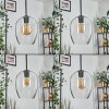 Vevino Suspension Clair, 3 lumières Vevino Suspension Clair, 3 lumières