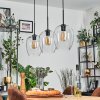 Vevino Suspension Clair, 3 lumières Vevino Suspension Clair, 3 lumières