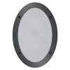 Endura Applique murale Luminaires Ledvance Gris, 2 lumières