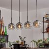 Ripoll Suspension Clair, Fumé, 4 lumières