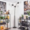 Gastor Lampadaire Noir, 3 lumières