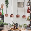 Ripoll Suspension Clair, Cuivré, 4 lumières