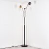 Gastor Lampadaire Ambre, Clair, Fumé, 3 lumières