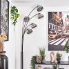 Gastor Lampadaire Chrome, Clair, Fumé, 5 lumières