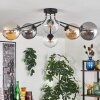 Gastor Plafonnier 74 cm Ambre, Clair, Fumé, 6 lumières