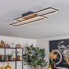 Macos Plafonnier, Spot de plafond LED Brun, Couleur bois, Noir, 1 lumière