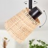Lindberg Plafonnier Noir, 6 lumières