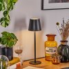 Salgadinho Lampe à poser LED Noir, 1 lumière Salgadinho Lampe à poser LED Noir, 1 lumière