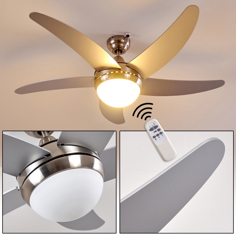 Ventilateurs de Plafond Morino Nickel mat, Argenté, 2 lumières, Télécommandes main product photo