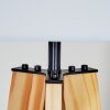 Bassagoda Lampadaire Écru, 1 lumière
