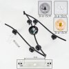 Gastor Plafonnier, Boule lumineuse Ambre, Clair, Fumé, 6 lumières