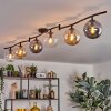 Gastor Plafonnier, Boule lumineuse Ambre, Clair, Fumé, 6 lumières