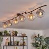Gastor Plafonnier, Boule lumineuse Ambre, Clair, Fumé, 6 lumières Gastor Plafonnier, Boule lumineuse Ambre, Clair, Fumé, 6 lumières