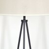 Bassagoda Lampadaire beige, Blanc, 1 lumière