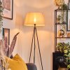 Bassagoda Lampadaire beige, Blanc, 1 lumière