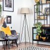 Bassagoda Lampadaire beige, Blanc, 1 lumière