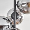 Gastor Plafonnier, Boule lumineuse Chrome, Clair, Fumé, 4 lumières