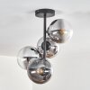 Gastor Plafonnier, Boule lumineuse Chrome, Clair, Fumé, 4 lumières