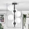 Gastor Plafonnier, Boule lumineuse Transparent, 6 lumières