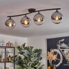Gastor Plafonnier, Boule lumineuse Chrome, Clair, Fumé, 4 lumières