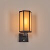 Monfanim Lampe murale d´extérieur Noir, 1 lumière