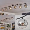 Gastor Plafonnier, Boule lumineuse Chrome, Clair, Fumé, 6 lumières