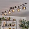 Gastor Plafonnier, Boule lumineuse Chrome, Clair, Fumé, 6 lumières