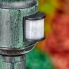Loria Luminaire extérieur, Eclairage de chemin Vert, Noir, 1 lumière, Détecteur de mouvement