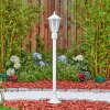 Loria Luminaire extérieur, Eclairage de chemin Blanc, 1 lumière, Détecteur de mouvement