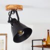 Plafonnier Berkeley Bois foncé, Noir, 1 lumière