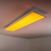 Plafonnier WABOS LED Blanc, 1 lumière, Télécommandes, Changeur de couleurs
