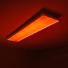 Plafonnier WABOS LED Blanc, 1 lumière, Télécommandes, Changeur de couleurs