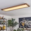Salmi LED Couleur bois, Noir, 1 lumière, Télécommandes